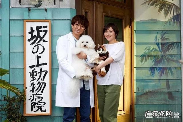 有什么好看的日剧,哪里可以看到找到日剧和资源?