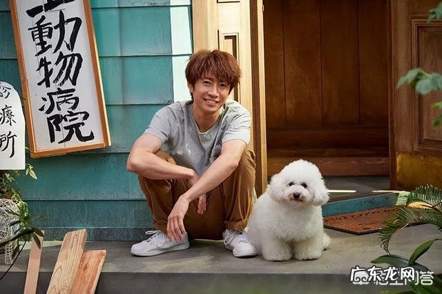 有什么好看的日剧,哪里可以看到找到日剧和资源?