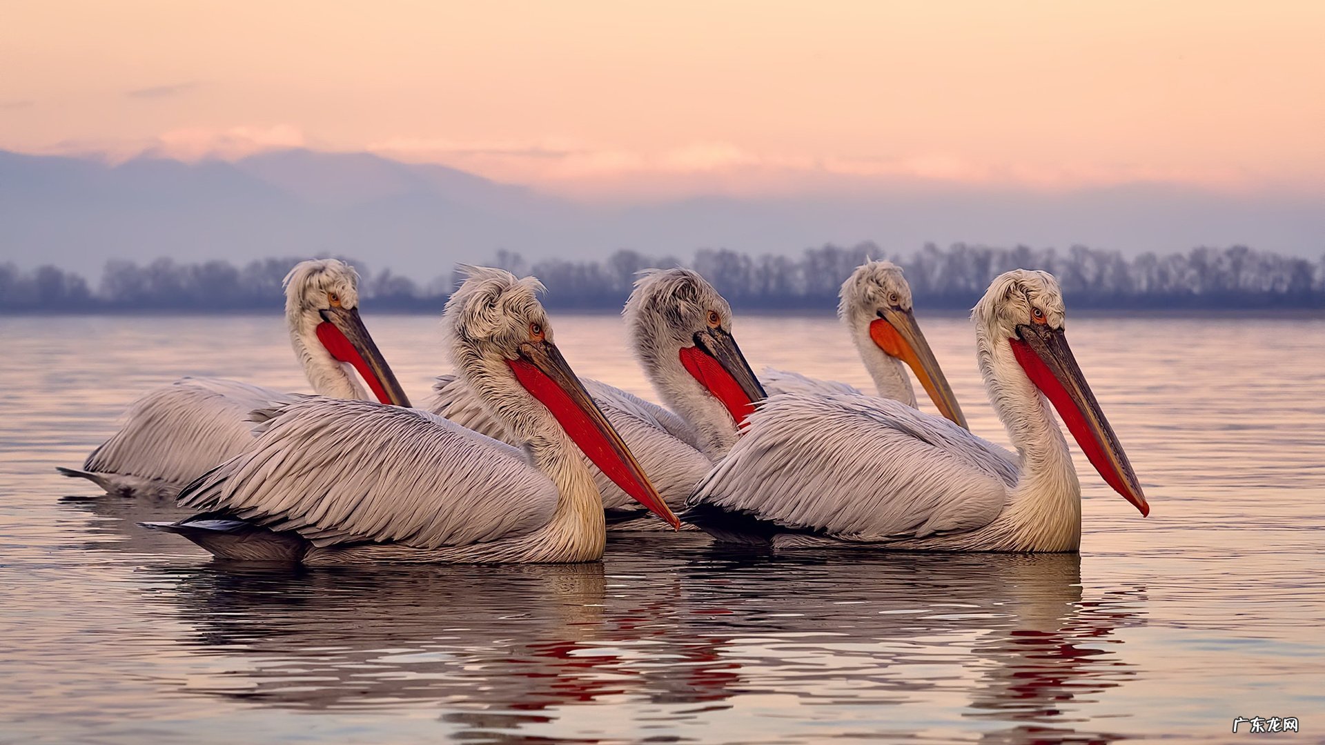 忘记BMI吧!衡量健康有了新指标