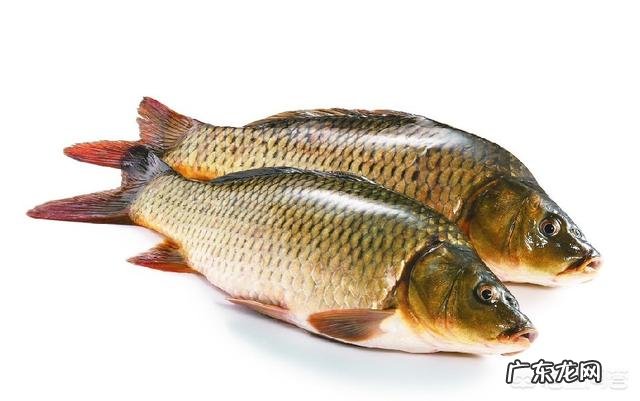 暴食后扣喉催吐真的能瘦吗