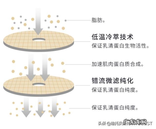 赵丽颖产后健身保持好身材，蛋白粉选对很重要
