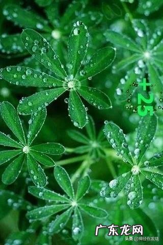 晚上睡不着,如何自我催眠