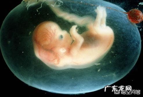 怀孕的时候四维有必要做么?