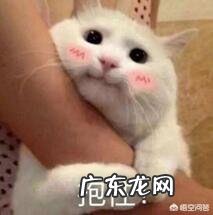 长得一般、身材特别好和长得好看、身材走形的女孩,你会怎么选择