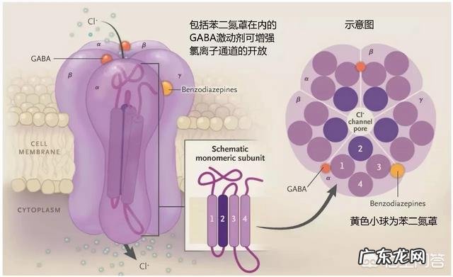 焦虑抑郁症患者停止服用药物的后果会是怎么样