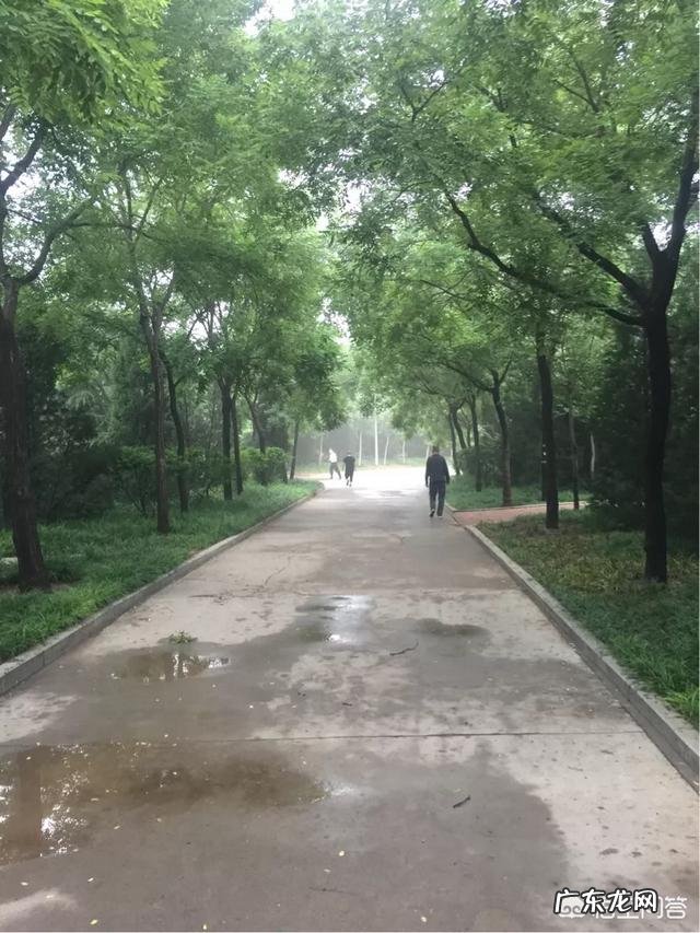 跑步正确姿势是怎样的,长跑跟短跑有什么区别