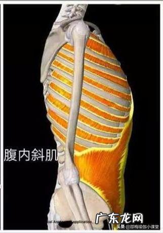 引起盆底功能障碍主要原因是什么