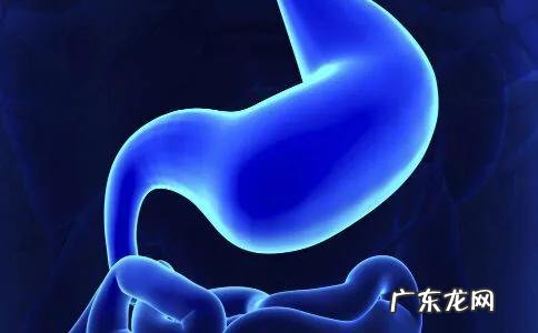 有胃病,用什么泡水长期喝比较好