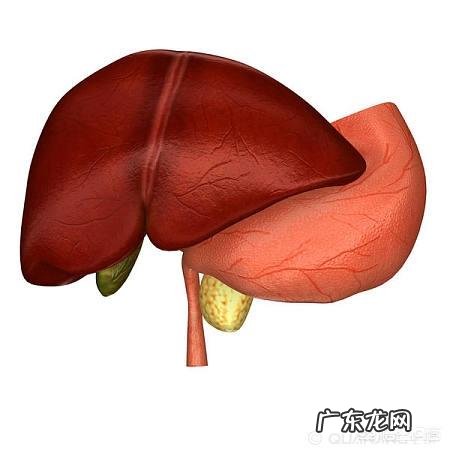 哪些家庭常备药会损伤肝肾日常如何养护肝肾健康