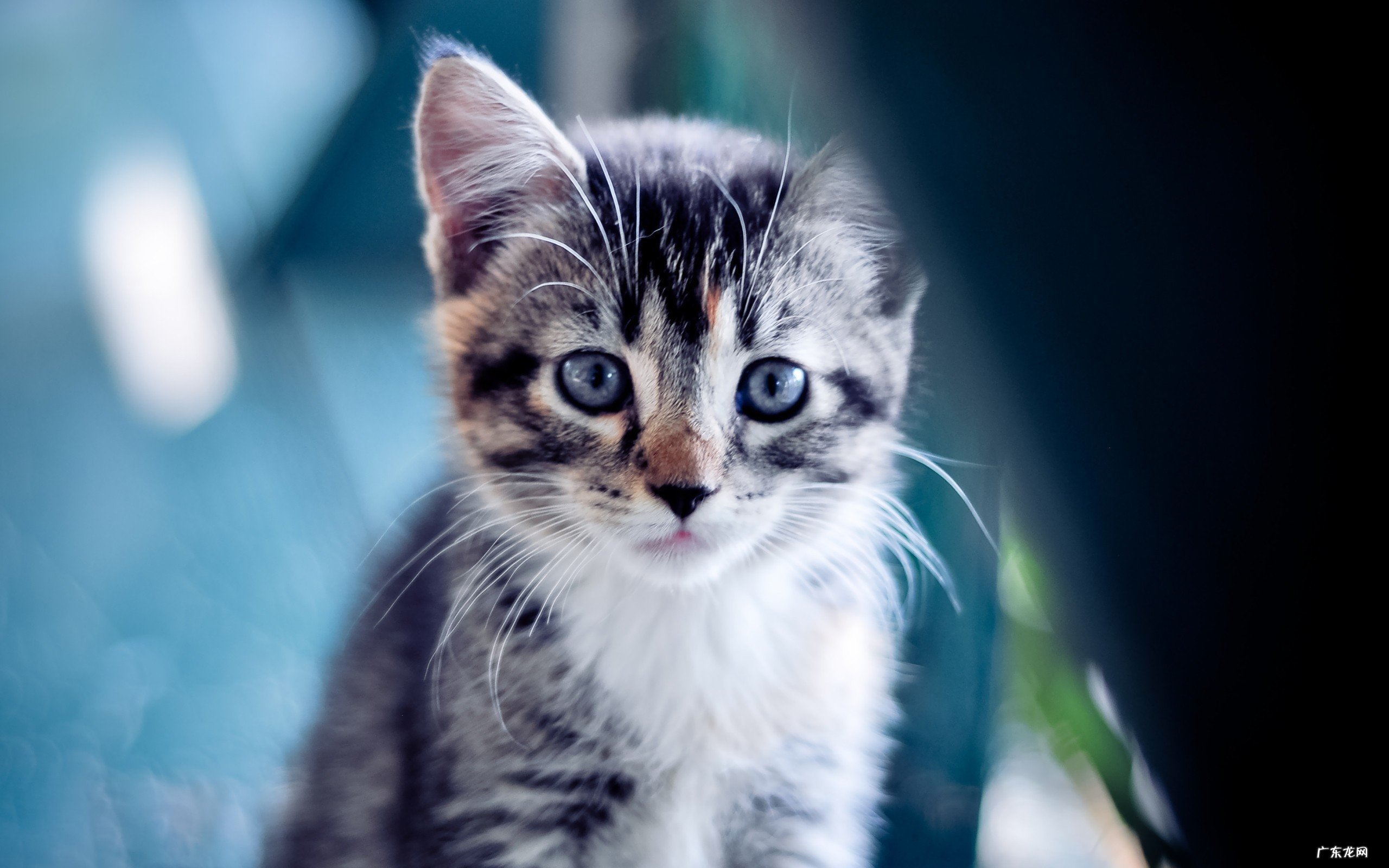 10岁女孩怎么可以瘦脸，瘦腰，瘦手臂