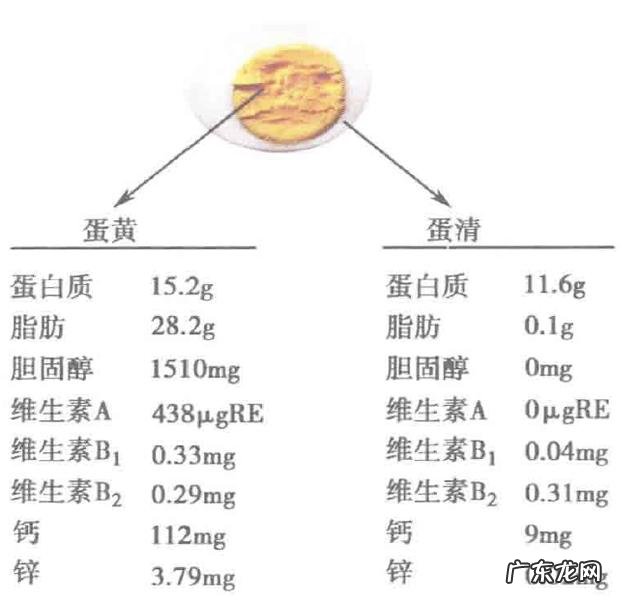 如何正确吃蛋黄,吃蛋黄会发胖吗适量吃蛋黄可减肥吗