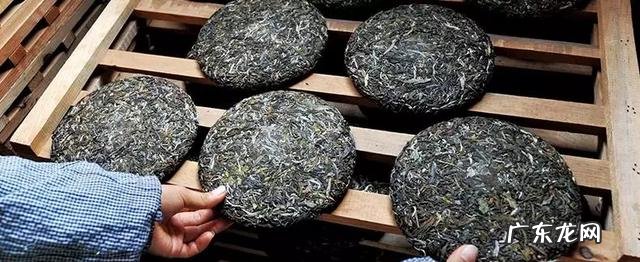 喝黑茶的好处是什么比较好的黑茶品牌有哪些呢