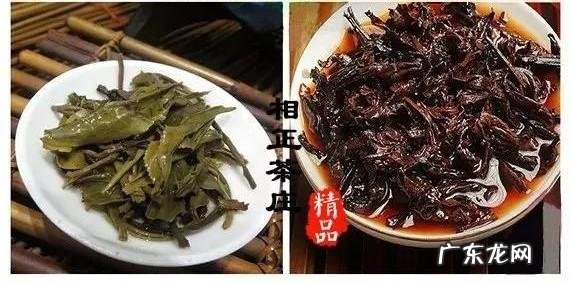 喝黑茶的好处是什么比较好的黑茶品牌有哪些呢