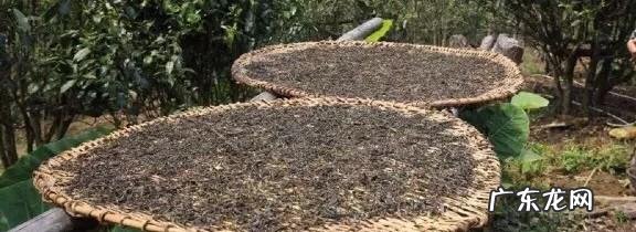 喝黑茶的好处是什么比较好的黑茶品牌有哪些呢