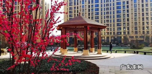 老婆做家务的经历 老婆做家务的故事