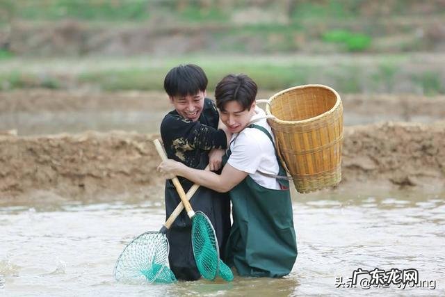 黄磊做假菜我们忍了，张子枫的翻车实在忍不了，综艺节目有多假