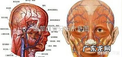 美容院脸部护理回来皮肤总是发红是怎么回事
