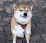 大姨妈推迟，吃什么能快点来