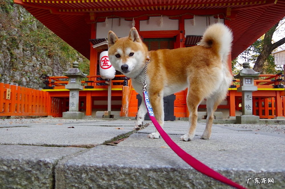 科学合理的减肥方法有哪些