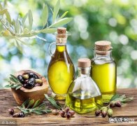 橄榄油做菜比较利于减肥吗