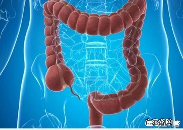 只要吃油就拉肚子是怎么回事