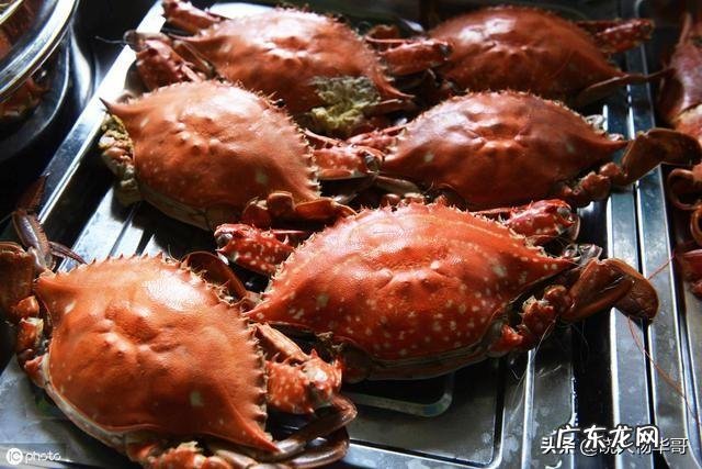 可以携带最好有名最好吃最养生还不贵的山东特产是什么