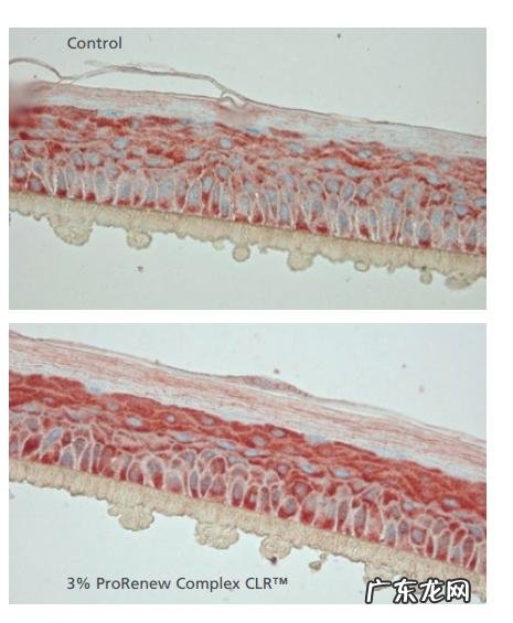 SKII神仙水那么贵,到底值不值得买