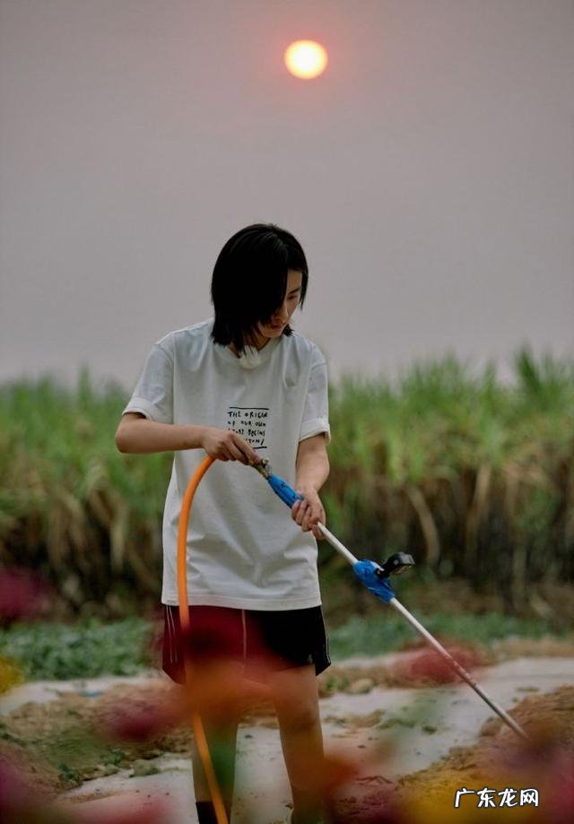 本科生毕业论文三天能写出来吗怎么才能做到呢