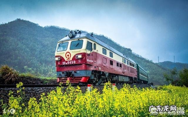 外出旅行时准备哪些干粮比较好