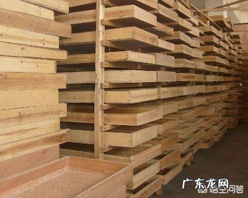 微生物菌肥到底有什么作用种植过程中得了根腐病可以用菌肥吗