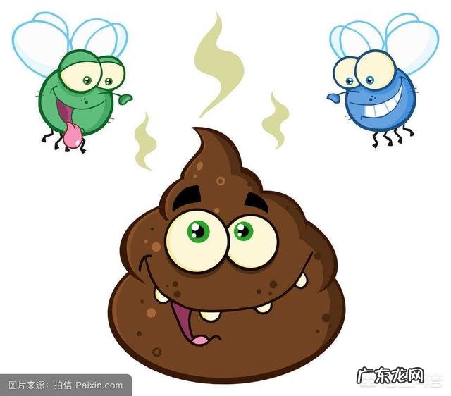 大便在人体内不臭，拉出来却很臭的原因是什么
