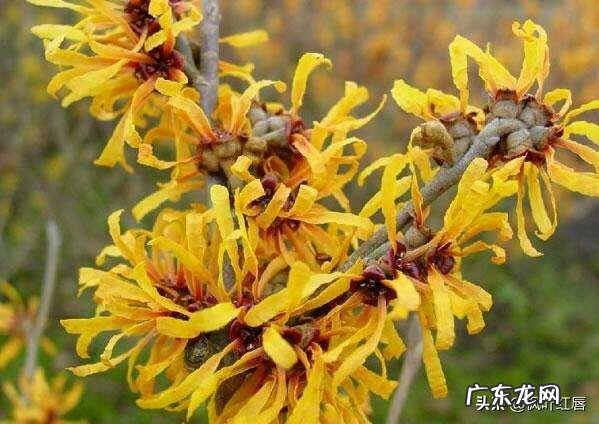 油皮+痘痘肌+敏感怎么护肤呢有什么好的护肤品推荐