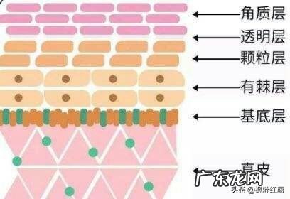 油皮+痘痘肌+敏感怎么护肤呢有什么好的护肤品推荐