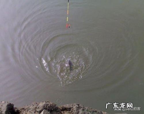 各位钓友,大师能推荐一下哪个品牌的太空豆质量比较好吗