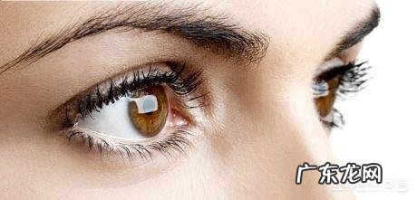 眼睛为什么会老花近视的人不会得老花眼吗