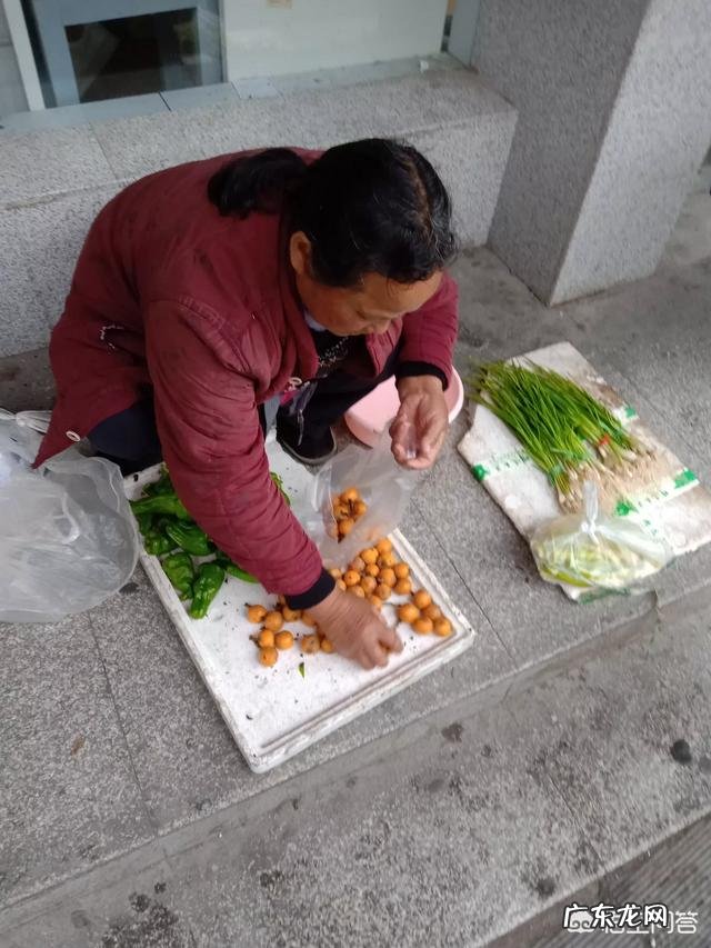 为什么有人说最近几年打工的人越来越多