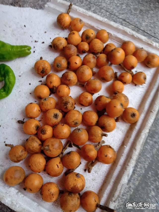 为什么有人说最近几年打工的人越来越多