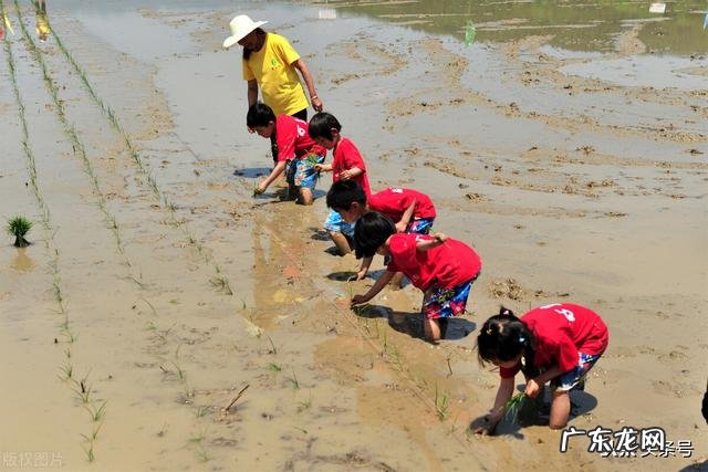 你经历过或听老一辈人说过哪些不可思议的事情