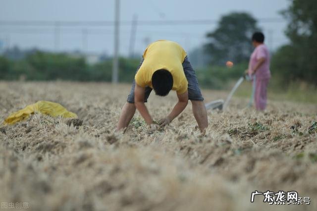 你经历过或听老一辈人说过哪些不可思议的事情