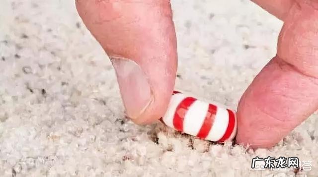 孩子吃坚果一定要慎重,怎样吃才安全