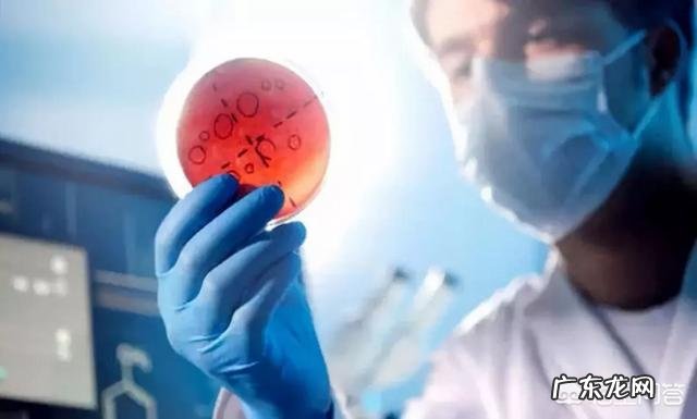 孩子吃坚果一定要慎重,怎样吃才安全