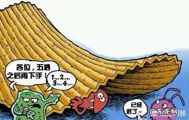 孩子吃坚果一定要慎重,怎样吃才安全