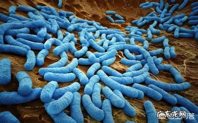 孩子吃坚果一定要慎重,怎样吃才安全