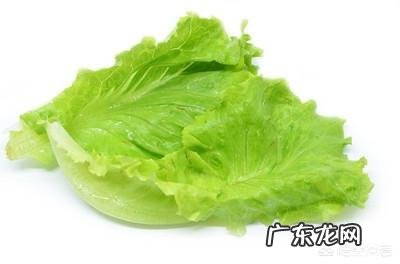 你知道怎么正确吃蔬菜减肥吗