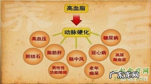 血糖低和一直吃降脂药有关吗吃降脂药有哪些需要注意的