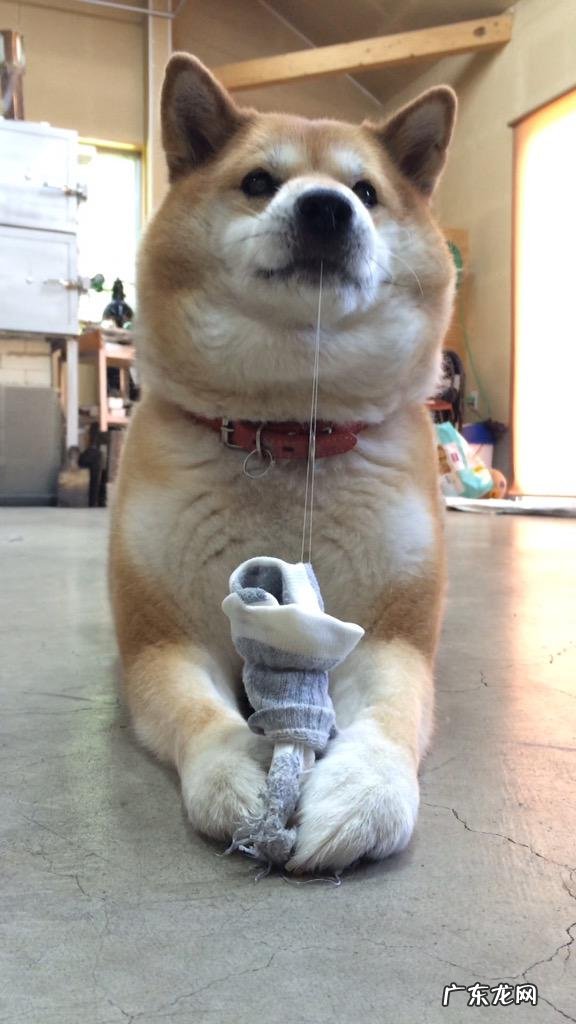 塑身按摩仪的好处有哪些呢