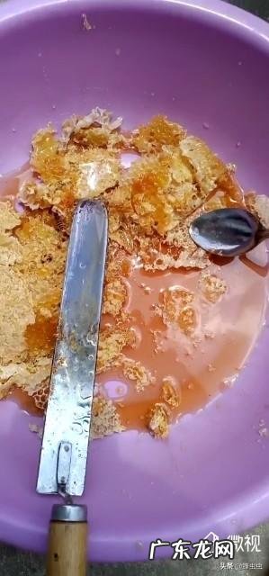 自己家的蜂蜜,想在网上销售,需要到哪里去检测