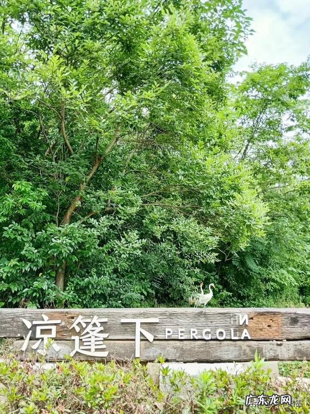 南京溧水区迎来大发展,大批城市新地标偷偷崛起,你了解哪个呢