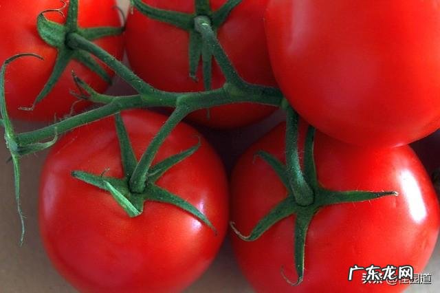 拉稀大便不成型吃什么药比较好