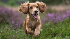 按摩可以促进胸部二次发育吗